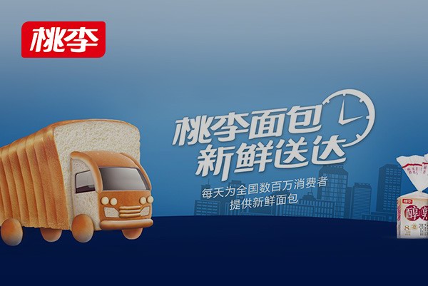 上市公司官網案例